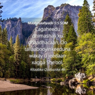 Picture 04 - Maahmaahyadii 5:5 SOM - Cagaheedu dhimashay ku dhaadhacaan, Oo - Bible Verse Picture