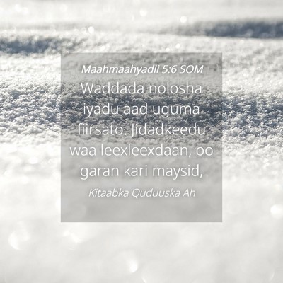 Picture 04 - Maahmaahyadii 5:6 SOM - Waddada nolosha iyadu aad uguma fiirsato. - Bible Verse Picture
