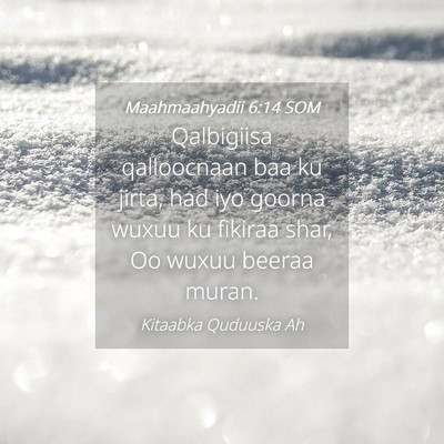 Picture 04 - Maahmaahyadii 6:14 SOM - Qalbigiisa qalloocnaan baa ku jirta, had iyo - Bible Verse Picture