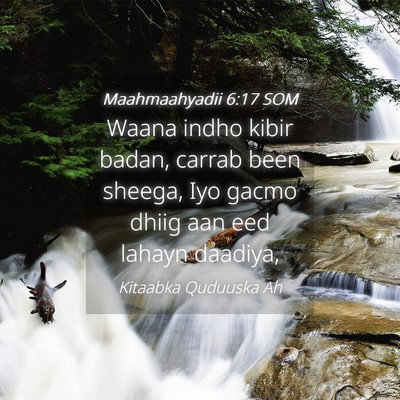 Picture 04 - Maahmaahyadii 6:17 SOM - Waana indho kibir badan, carrab been sheega, Iyo - Bible Verse Picture