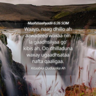 Picture 04 - Maahmaahyadii 6:26 SOM - Waayo, naag dhillo ah aawadeed waxaa nin la - Bible Verse Picture