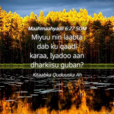 Picture 04 - Maahmaahyadii 6:27 SOM - Miyuu nin laabta dab ku qaadi karaa, Iyadoo aan - Bible Verse Picture