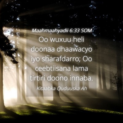 Picture 04 - Maahmaahyadii 6:33 SOM - Oo wuxuu heli doonaa dhaawacyo iyo sharafdarro; - Bible Verse Picture