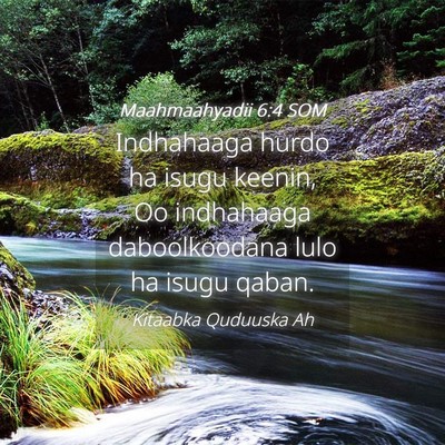 Picture 04 - Maahmaahyadii 6:4 SOM - Indhahaaga hurdo ha isugu keenin, Oo indhahaaga - Bible Verse Picture