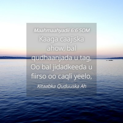 Picture 04 - Maahmaahyadii 6:6 SOM - Kaaga caajiska ahow, bal qudhaanjada u tag, Oo - Bible Verse Picture