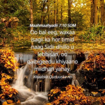Picture 04 - Maahmaahyadii 7:10 SOM - Oo bal eeg, waxaa isagii ka hor timid naag Sidii - Bible Verse Picture
