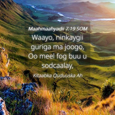 Picture 04 - Maahmaahyadii 7:19 SOM - Waayo, ninkaygii guriga ma joogo, Oo meel fog buu - Bible Verse Picture
