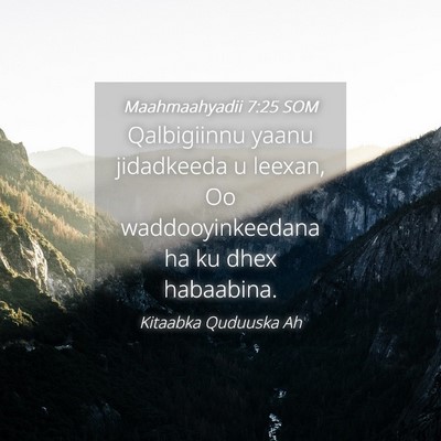 Picture 04 - Maahmaahyadii 7:25 SOM - Qalbigiinnu yaanu jidadkeeda u leexan, Oo - Bible Verse Picture