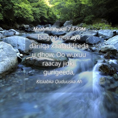 Picture 04 - Maahmaahyadii 7:8 SOM - Isagoo maraya dariiqa xaafaddeeda u dhow, Oo - Bible Verse Picture