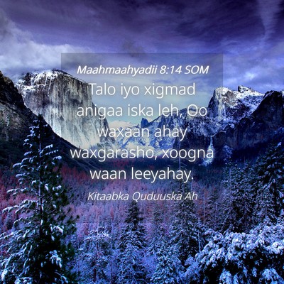 Picture 04 - Maahmaahyadii 8:14 SOM - Talo iyo xigmad anigaa iska leh, Oo waxaan ahay - Bible Verse Picture