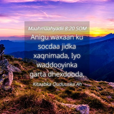 Picture 04 - Maahmaahyadii 8:20 SOM - Anigu waxaan ku socdaa jidka xaqnimada, Iyo - Bible Verse Picture