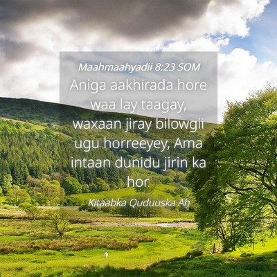 Picture 04 - Maahmaahyadii 8:23 SOM - Aniga aakhirada hore waa lay taagay, waxaan jiray - Bible Verse Picture