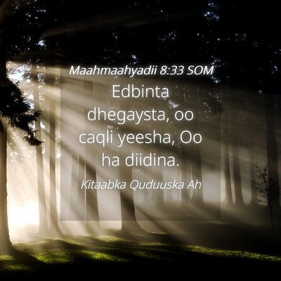 Picture 04 - Maahmaahyadii 8:33 SOM - Edbinta dhegaysta, oo caqli yeesha, Oo ha - Bible Verse Picture
