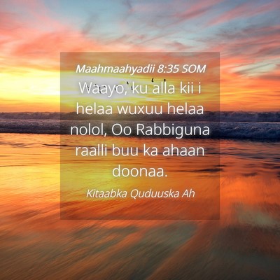 Picture 04 - Maahmaahyadii 8:35 SOM - Waayo, ku alla kii i helaa wuxuu helaa nolol, Oo - Bible Verse Picture