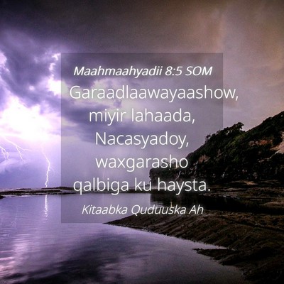 Picture 04 - Maahmaahyadii 8:5 SOM - Garaadlaawayaashow, miyir lahaada, Nacasyadoy, - Bible Verse Picture