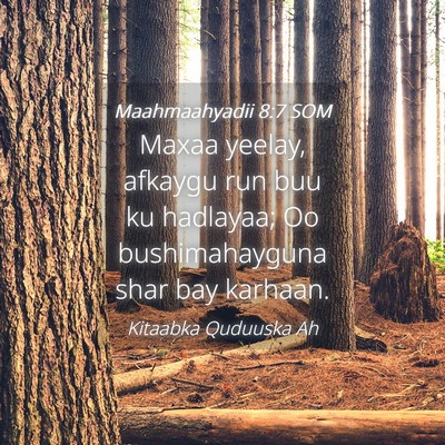 Picture 04 - Maahmaahyadii 8:7 SOM - Maxaa yeelay, afkaygu run buu ku hadlayaa; Oo - Bible Verse Picture