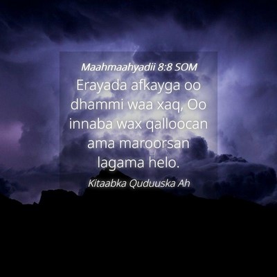 Picture 04 - Maahmaahyadii 8:8 SOM - Erayada afkayga oo dhammi waa xaq, Oo innaba wax - Bible Verse Picture