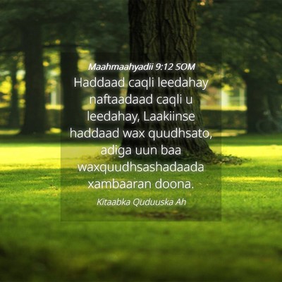 Picture 04 - Maahmaahyadii 9:12 SOM - Haddaad caqli leedahay naftaadaad caqli u - Bible Verse Picture