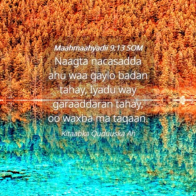 Picture 04 - Maahmaahyadii 9:13 SOM - Naagta nacasadda ahu waa qaylo badan tahay, Iyadu - Bible Verse Picture