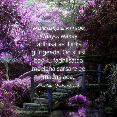 Picture 04 - Maahmaahyadii 9:14 SOM - Waayo, waxay fadhiisataa illinka gurigeeda, Oo - Bible Verse Picture