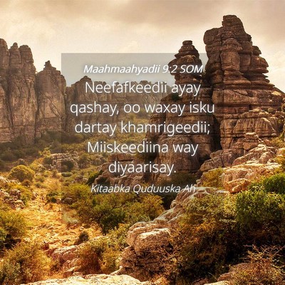 Picture 04 - Maahmaahyadii 9:2 SOM - Neefafkeedii ayay qashay, oo waxay isku dartay - Bible Verse Picture