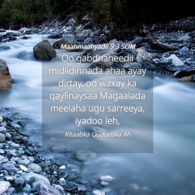 Picture 04 - Maahmaahyadii 9:3 SOM - Oo gabdhaheedii midiidinnada ahaa ayay dirtay, oo - Bible Verse Picture