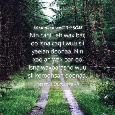 Picture 04 - Maahmaahyadii 9:9 SOM - Nin caqli leh wax bar, oo isna caqli wuu sii - Bible Verse Picture