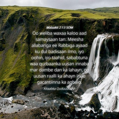 Picture 04 - Malaakii 2:13 SOM - Oo weliba waxaa kaloo aad samaysaan tan: Meesha - Bible Verse Picture