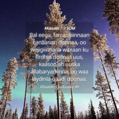Picture 04 - Malaakii 2:3 SOM - Bal eega, farcankiinnaan canaanan doonaa, oo - Bible Verse Picture