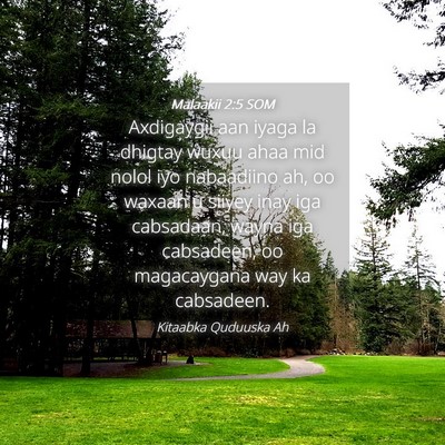 Picture 04 - Malaakii 2:5 SOM - Axdigaygii aan iyaga la dhigtay wuxuu ahaa mid - Bible Verse Picture