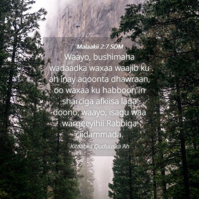 Picture 04 - Malaakii 2:7 SOM - Waayo, bushimaha wadaadka waxaa waajib ku ah inay - Bible Verse Picture