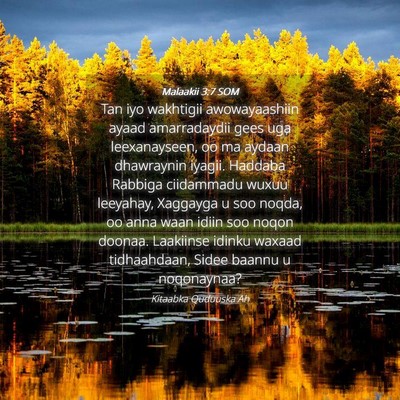 Picture 04 - Malaakii 3:7 SOM - Tan iyo wakhtigii awowayaashiin ayaad - Bible Verse Picture