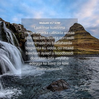 Picture 04 - Malaakii 4:2 SOM - Laakiinse kuwiinna magacayga ka cabsada waxaa - Bible Verse Picture