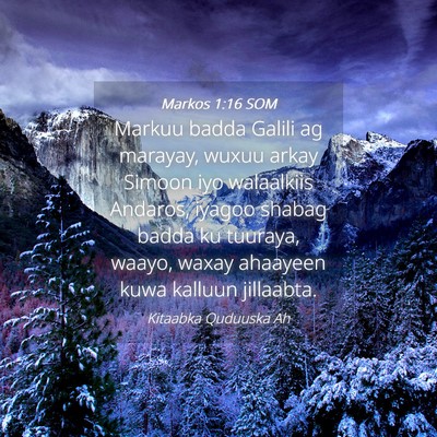 Picture 04 - Markos 1:16 SOM - Markuu badda Galili ag marayay, wuxuu arkay - Bible Verse Picture