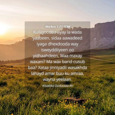 Picture 04 - Markos 1:27 SOM - Kulligoodba ayay la wada yaabeen, sidaa aawadeed - Bible Verse Picture