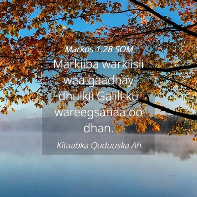 Picture 04 - Markos 1:28 SOM - Markiiba warkiisii waa gaadhay dhulkii Galili ku - Bible Verse Picture