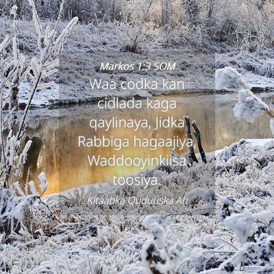 Picture 04 - Markos 1:3 SOM - Waa codka kan cidlada kaga qaylinaya, Jidka - Bible Verse Picture