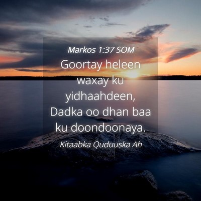Picture 04 - Markos 1:37 SOM - Goortay heleen waxay ku yidhaahdeen, Dadka oo - Bible Verse Picture