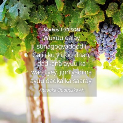 Picture 04 - Markos 1:39 SOM - Wuxuu galay sunagogyadoodii Galili ku yiil oo - Bible Verse Picture