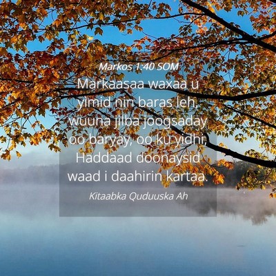Picture 04 - Markos 1:40 SOM - Markaasaa waxaa u yimid nin baras leh, wuuna - Bible Verse Picture