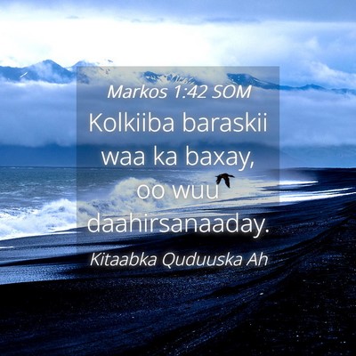Picture 04 - Markos 1:42 SOM - Kolkiiba baraskii waa ka baxay, oo wuu - Bible Verse Picture