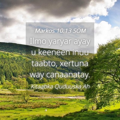 Picture 04 - Markos 10:13 SOM - Ilmo yaryar ayay u keeneen inuu taabto, xertuna - Bible Verse Picture