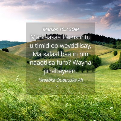 Picture 04 - Markos 10:2 SOM - Markaasaa Farrisiintu u timid oo weyddiisay, Ma - Bible Verse Picture
