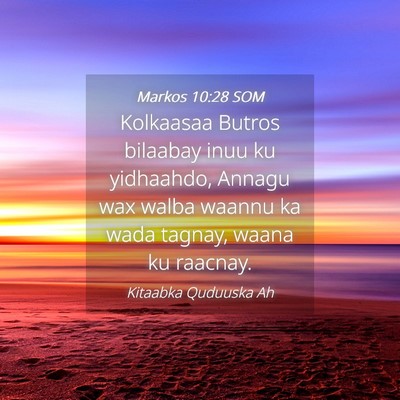 Picture 04 - Markos 10:28 SOM - Kolkaasaa Butros bilaabay inuu ku yidhaahdo, - Bible Verse Picture