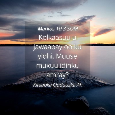 Picture 04 - Markos 10:3 SOM - Kolkaasuu u jawaabay oo ku yidhi, Muuse muxuu - Bible Verse Picture