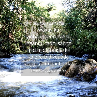 Picture 04 - Markos 10:37 SOM - Waxay ku yidhaahdeen, Na sii inaannu fadhiisanno - Bible Verse Picture