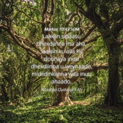 Picture 04 - Markos 10:43 SOM - Laakiin sidaasu dhexdiinna ma aha, laakiin ku - Bible Verse Picture