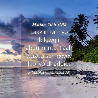 Picture 04 - Markos 10:6 SOM - Laakiin tan iyo bilowgii abuurniinta, Ilaah wuxuu - Bible Verse Picture