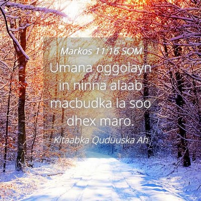 Picture 04 - Markos 11:16 SOM - Umana oggolayn in ninna alaab macbudka la soo - Bible Verse Picture
