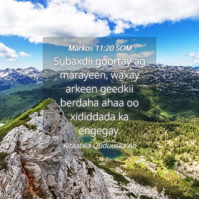 Picture 04 - Markos 11:20 SOM - Subaxdii goortay ag marayeen, waxay arkeen - Bible Verse Picture